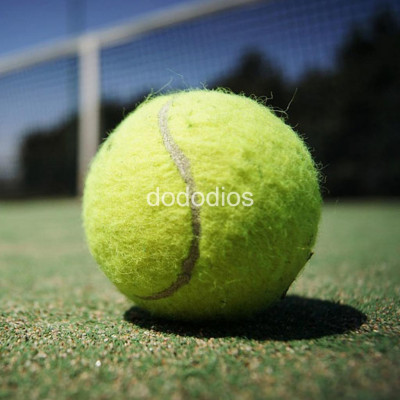 combo 3 quả bóng banh tennis chơi quần vợt cao cấp - độ nảy chuẩn quốc tế - hàng chính hãng dododios