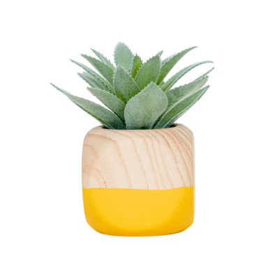 Chậu Cây Xương Rồng IRIS - B Trang Trí Nhà Cửa | Index Living Mall | Nội Thất Nhập Khẩu Thái Lan