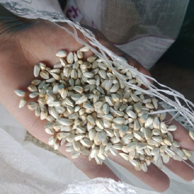 Hạt Kham Dinh Dưỡng Cho Hamster Viettin Mart 500g