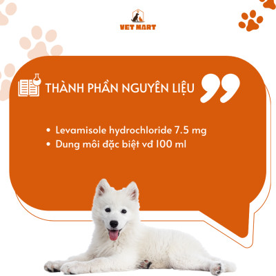 Dung Dịch five LEVA Trị Các Loại Giun Tròn Cho Thú Cưng - Fivevet