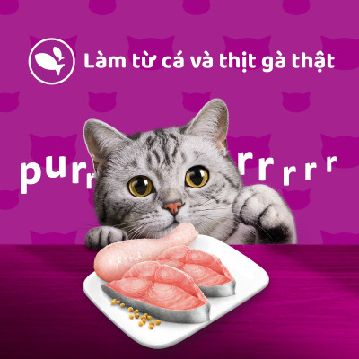 [Combo 12 Gói] Thức Ăn Cho Mèo WHISKAS 1+ years Vị Cá Ngừ, Gà 80g/Gói