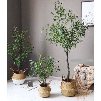 Cây oliu giả - thân gỗ - Size từ 80cm đến 130cm - Cây giả, hoa lụa Decor trang trí nhà cửa