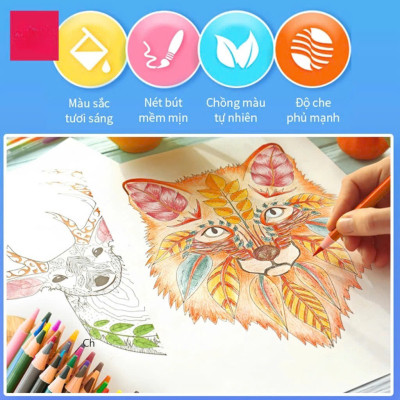 Bút chì màu chuyên nghiệp dạng cốc 24 MÀU Kèm Gọt