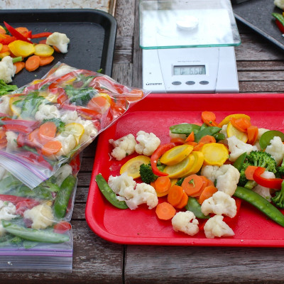 Thùng đá giữ nhiệt đa năng Vent Master Cool, tặng kèm set 16 túi Zip - nội địa Nhật Bản