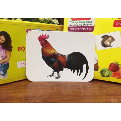 Thẻ Học Thông Minh Flashcard Song Ngữ Cho Bé