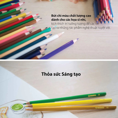 Combo bút chì màu Swans 48 màu - Hộp 48 màu + Gôm tẩy ExamGrade (CLS-48H+)