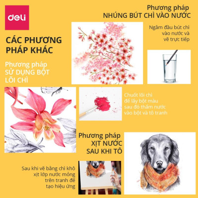 Bút chì màu nước cao cấp Deli dạng cốc - 24 màu/36 màu/48màu/72 màu - 68100/68101/68102/68114