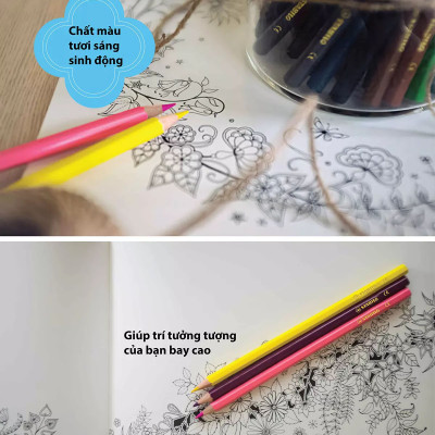 Combo bút chì màu Swans 48 màu - Hộp 48 màu + Gôm tẩy ExamGrade (CLS-48H+)