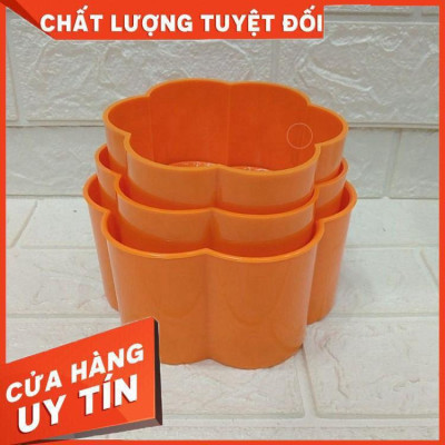 BỘ KHUÔN LÀM XÔI, LÀM BÁNH HÌNH HOA HỒNG & TRÁI TIM – CHUẨN ĐẸP, DỄ SỬ DỤNG  TẠO HÌNH ĐẸP MẮT – TÔ ĐIỂM MÂM CƠM THÊM Ý NGHĨA 