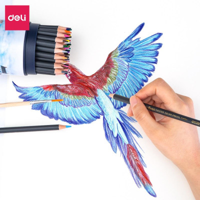 Bút chì màu nước cao cấp Deli dạng cốc - 24 màu/36 màu/48màu/72 màu - 68100/68101/68102/68114