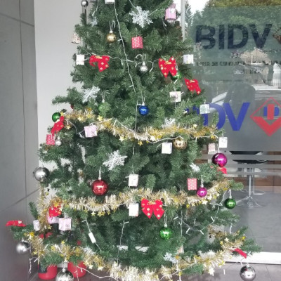 Cây thông noel màu xanh cao 240cm - Đế sắt, tán dày và đẹp, cây thông chắc chắn và dể tháo lắp