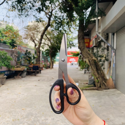 Bộ 3 cây kéo đa năng cao cấp Nhật Bản Echo Metal 18cm lưỡi kéo bằng thép không gỉ sắc bén & bền bỉ