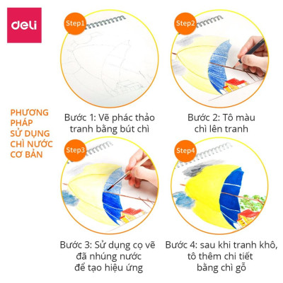 Bút chì màu nước cao cấp Deli dạng cốc - 24 màu/36 màu/48màu/72 màu - 68100/68101/68102/68114