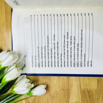 Sách - Giáo Lý A Tỳ Đàm Tập 1 - (Toại Khanh -HN)