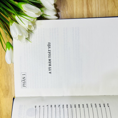 Sách - Giáo Lý A Tỳ Đàm Tập 1 - (Toại Khanh -HN)