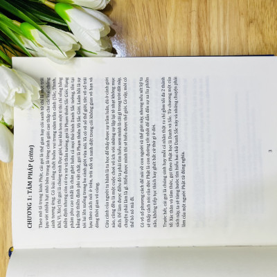 Sách - Giáo Lý A Tỳ Đàm Tập 1 - (Toại Khanh -HN)