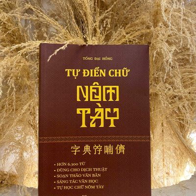 Sách - Từ điển chữ Nôm Tày - Tác giả Tống Đại Hồng - Trithuctrebooks - Khổ 16*24 cm
