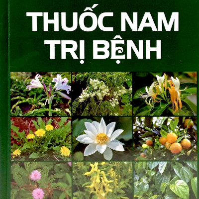 Thuốc Nam Trị Bệnh - Bìa Cứng
