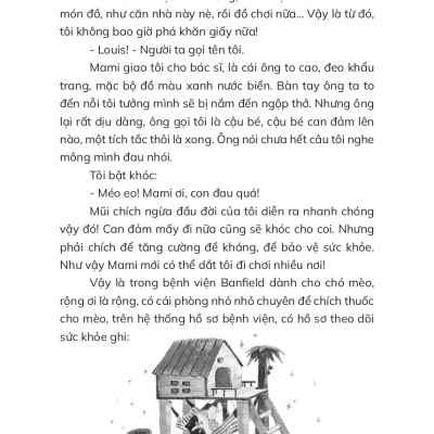 Mùa Hè Có Tuyết