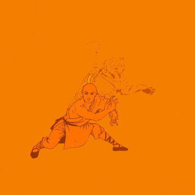 Bài Quyền Võ Tòng Đả Hổ