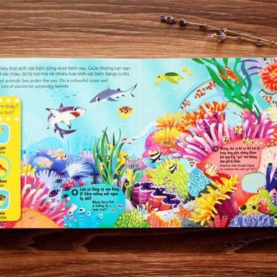 Sách Chuyển Động First Exploreres - Sinh Vật Biển