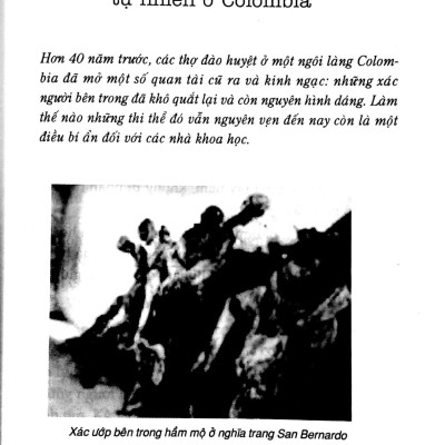 Bí Ẩn Mãi Mãi Là Bí Ẩn 02