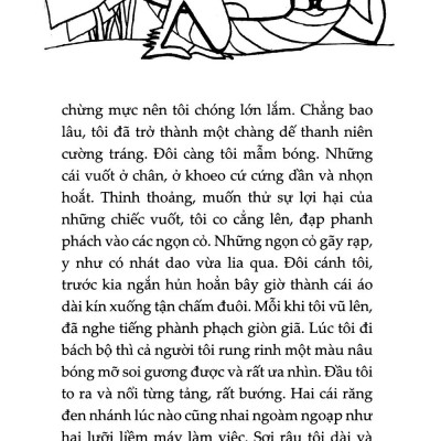 Sách - Dế Mèn Phiêu Lưu Ký - Diary Of A Cricket (Tái Bản 2025)