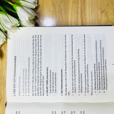 Sách - Giáo Lý A Tỳ Đàm Tập 1 - (Toại Khanh -HN)