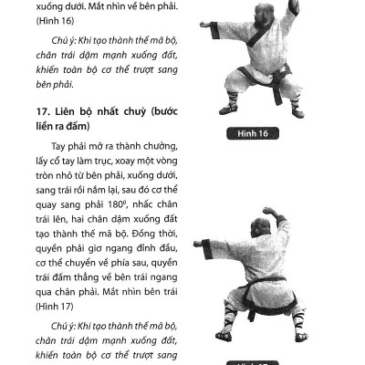 Thiếu Lâm Tự Quyền Phổ Tập 2 - Tâm Ý Môn