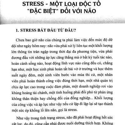 Chế Độ Ăn Bổ Trí Não Giảm Stress