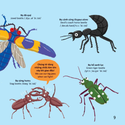 Thư Viện Từ Vựng Đầu Đời Cho Bé - Các Loài Sâu Bọ - Bugs!