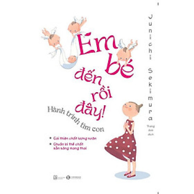 Sách - Em bé đến rồi đây – Hành trình tìm con - Thái Hà