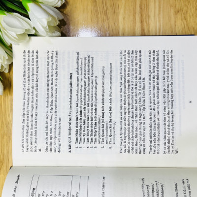 Sách - Giáo Lý A Tỳ Đàm Tập 1 - (Toại Khanh -HN)