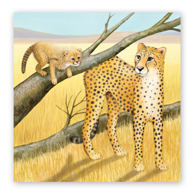 Sách - Vì Sao Con Trai Cần Bố -  Tác giả Gregory E. Lang - Sách tranh