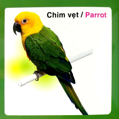 Từ Điển Hình Ảnh Cho Bé - Các Loài Chim