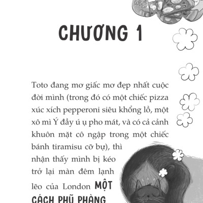 Toto - Cô Mèo Ninja