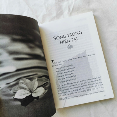 Combo 3 quyển Chia Sẻ Từ Trái Tim (Thích Pháp Hòa) + Bát Chánh Đạo (Bìa Mềm) + Tứ Diệu Đế