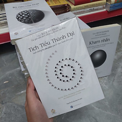 Tích Tiểu Thành Đại - Rick Hanson - Nguyễn Hà Phương dịch - (bìa mềm)
