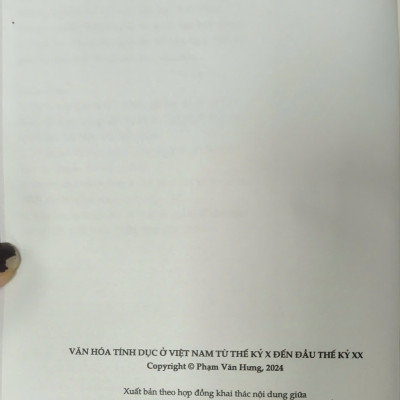 Sách - Văn hóa tính dục ở Việt Nam - Từ thế kỷ X đến đầu thế kỷ XX (Phạm Văn Hưng) (Nhã Nam Official)