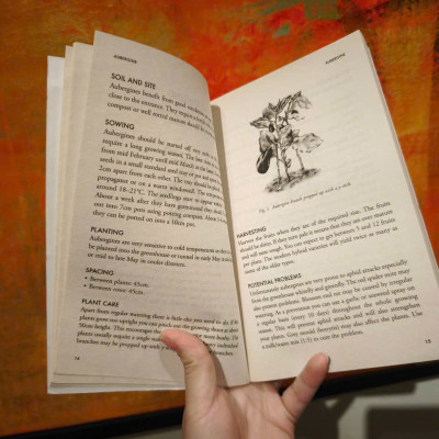 Sách - Vegetables and Herbs for the Greenhouse and Polytunnel by Klaus Laitenberger