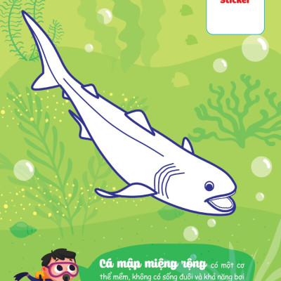 Con Tô Màu - Thám Hiểm Đáy Biển Sâu (MEGA)