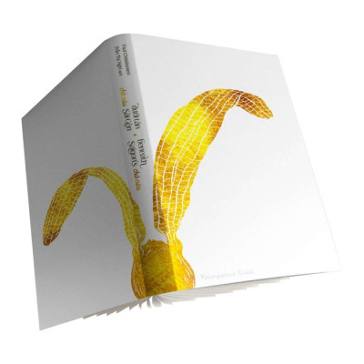 Dưới Tán Chò Nâu Sài Gòn - Beneath Saigon