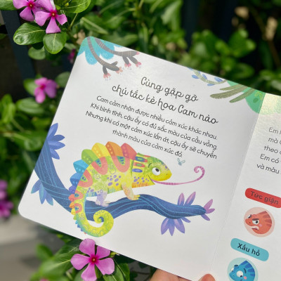 Sách thiếu nhi - Cầu vồng cảm xúc - Đinh Tị Books