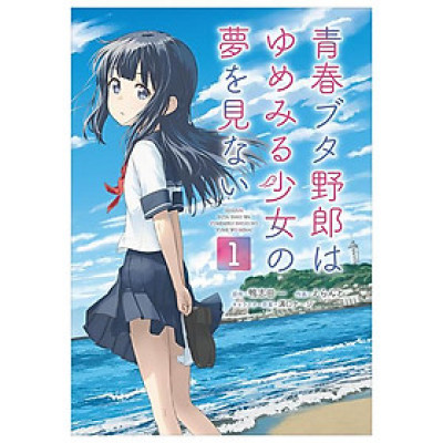 Seishun Buta Yaro Wa Yumemiru Shojo No Yume Wo Minai 1 (Japanese Edition)