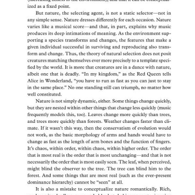 12 Rules For Life: An Antidote To Chaos