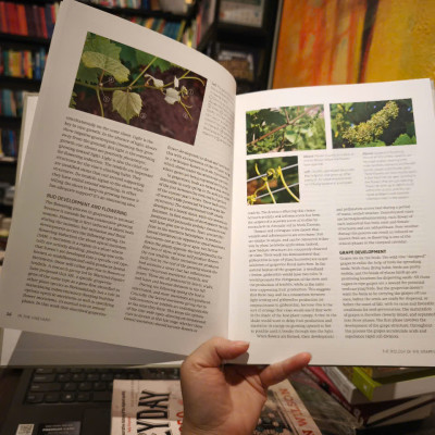 Sách - Wine Science: The Application of Science in Winemaking by Jamie Goode - Wine / Science