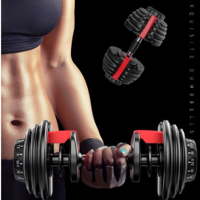 Bộ 2 Tạ Tay Điều Chỉnh Khóa Số Tự Động 24kg DNS968 (Tổng 48kg) Bằng Gang Nguyên Khối Cao Cấp Chính Hãng Đại Nam Sport 