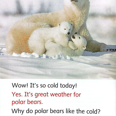 Dolphin Readers Level 3: Wonderful Wild Animals