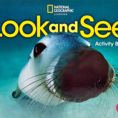 Look And See 3: Activity Book