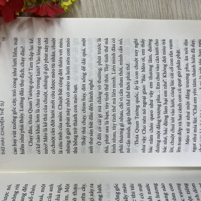 Sen thơm nắng hạ quê mình